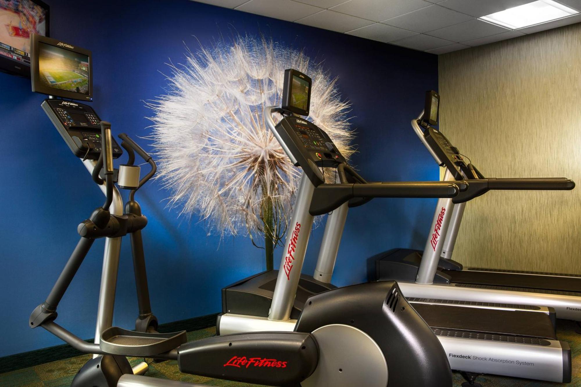 Hotel Springhill Dallas Dfw Airport North/grapevine 3*